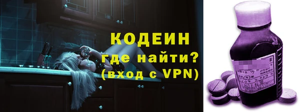 хмурый Аркадак