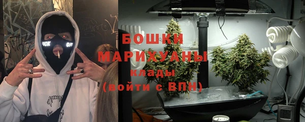 хмурый Аркадак