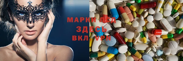 ГАЛЛЮЦИНОГЕННЫЕ ГРИБЫ Алексин