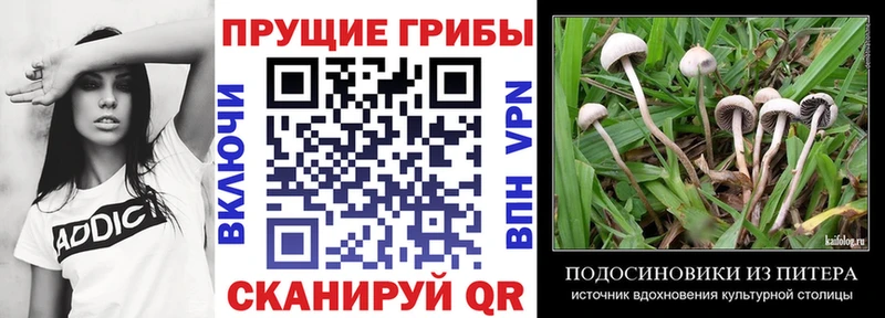 Псилоцибиновые грибы Magic Shrooms  сколько стоит  Армянск 
