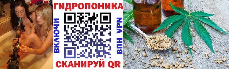 Каннабис конопля Армянск